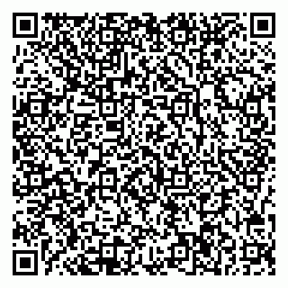 vCard 78047006335