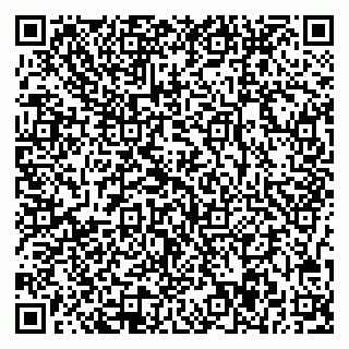 vCard 78047007003