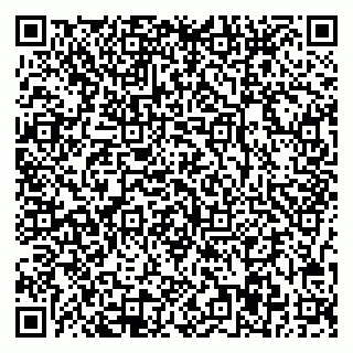 vCard 78047007019
