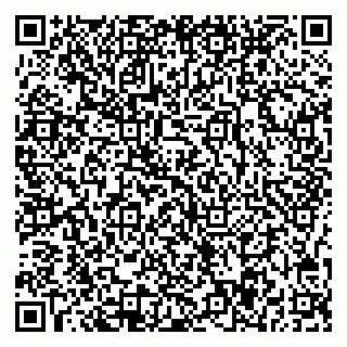vCard 78047007203