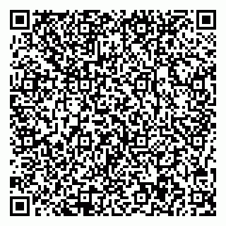 vCard 78047007402