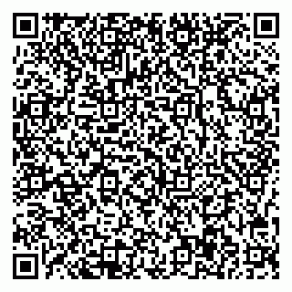 vCard 78047007404