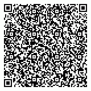 vCard 78047008010