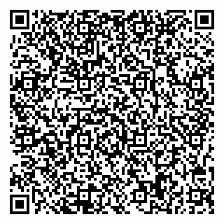vCard 78047008294