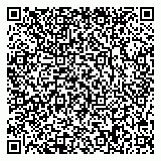 vCard 78047008303