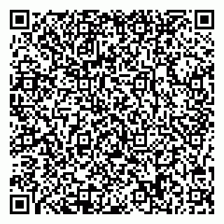 vCard 78047008387