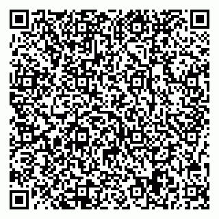 vCard 78047009073