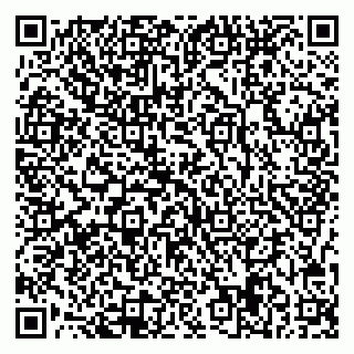 vCard 78047009335