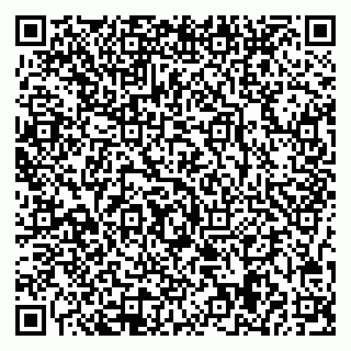 vCard 78047009602