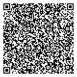 vCard 78047009945