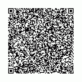 vCard 78051000008