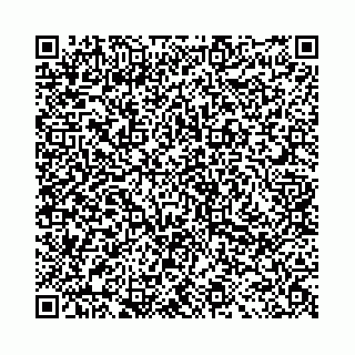 vCard 78051000399