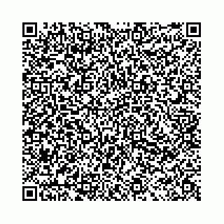 vCard 78051000739