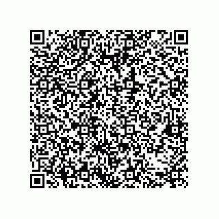vCard 78053470379