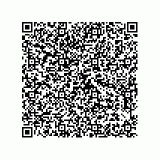 vCard 78054000380