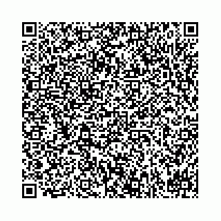 vCard 78061000539