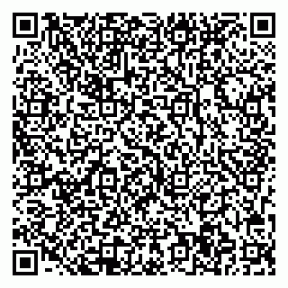 vCard 78063504401
