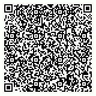 vCard 78063509900