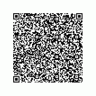 vCard 78064000080