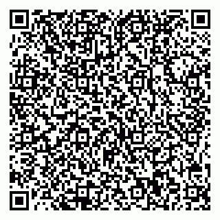 vCard 78065000403