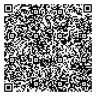 vCard 78065000409