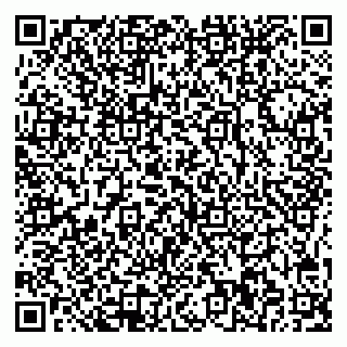 vCard 78065000451