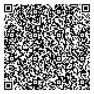 vCard 78065000484