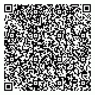 vCard 78065000489