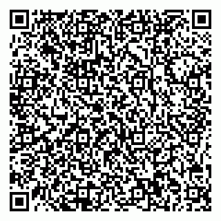 vCard 78065000587