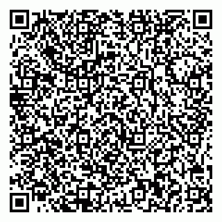 vCard 78075000380