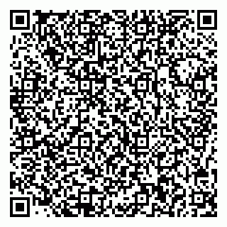 vCard 78077000380