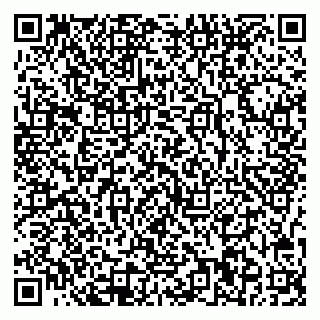 vCard 78077000399