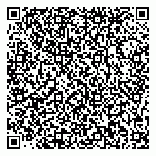 vCard 78077000537