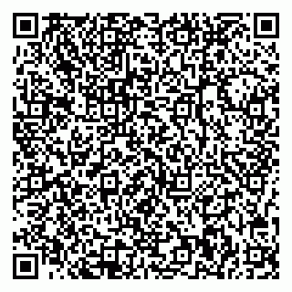 vCard 78077000880