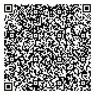 vCard 78077000973
