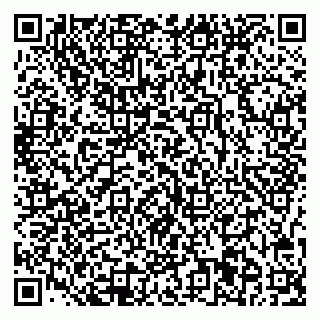 vCard 78077001739