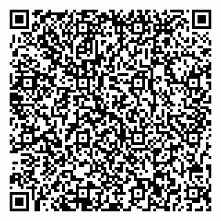 vCard 78077002011