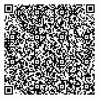 vCard 78077002739