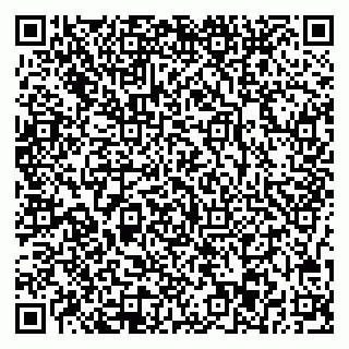 vCard 78077003231