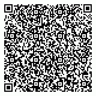 vCard 78077003259