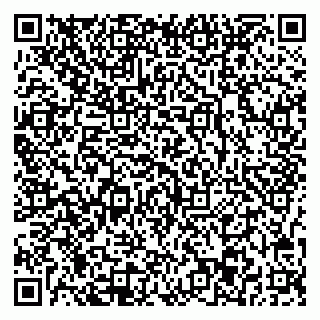 vCard 78077003281