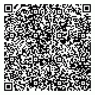 vCard 78077003294