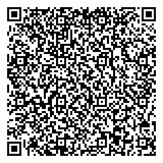 vCard 78077003299