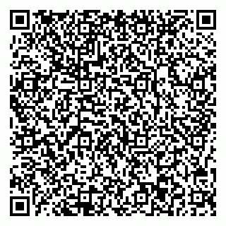 vCard 78077003301