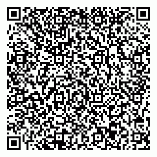 vCard 78077003303