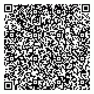 vCard 78077003377