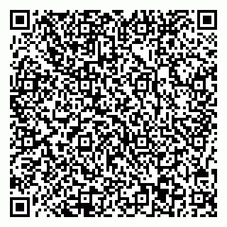 vCard 78077003379