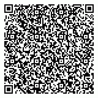 vCard 78077003383