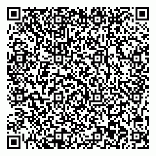 vCard 78077003530