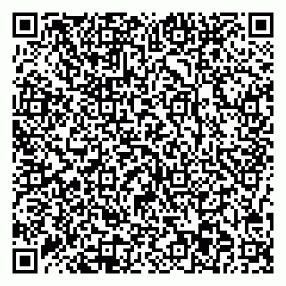 vCard 78077003531
